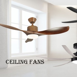 Ceiling Fans